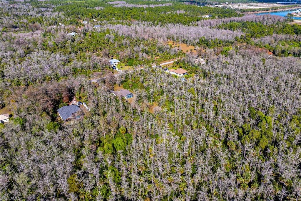 220 37th Avenue Northeast Naples, FL 34120 - Photo 47 of 49 a view of a houses with a yard