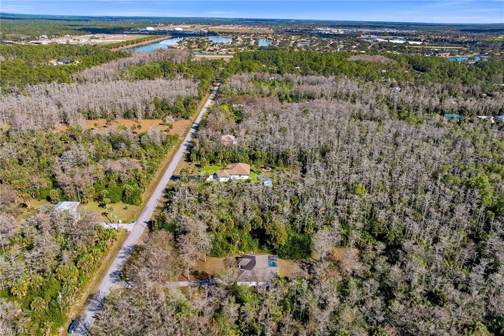 220 37th Avenue Northeast Naples, FL 34120 - Photo 48 of 49 a view of a forest with a lake