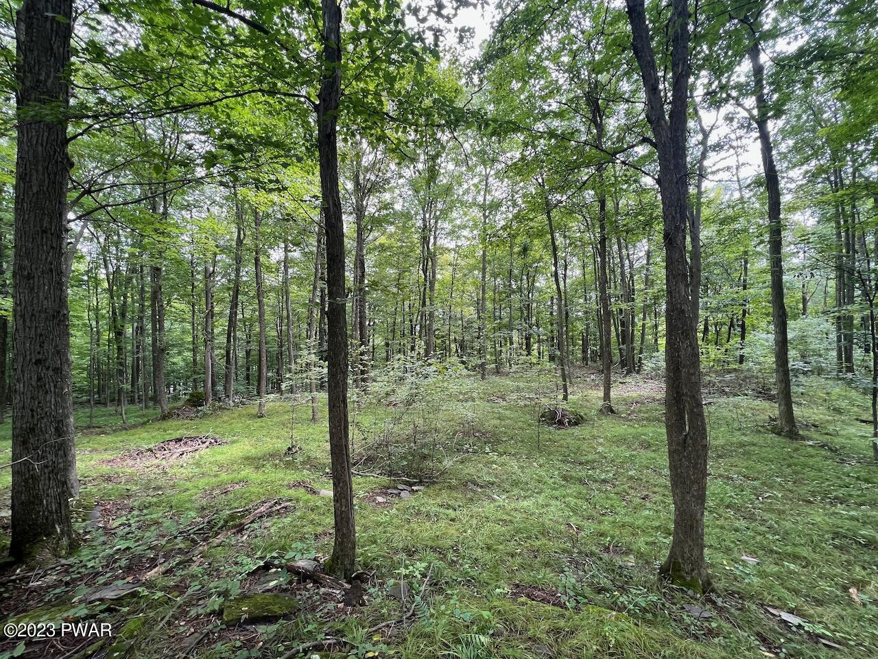 6-7 Secluded Lk Road Newfoundland, PA 18445 - Photo 12 of 15 LOT 6_6204