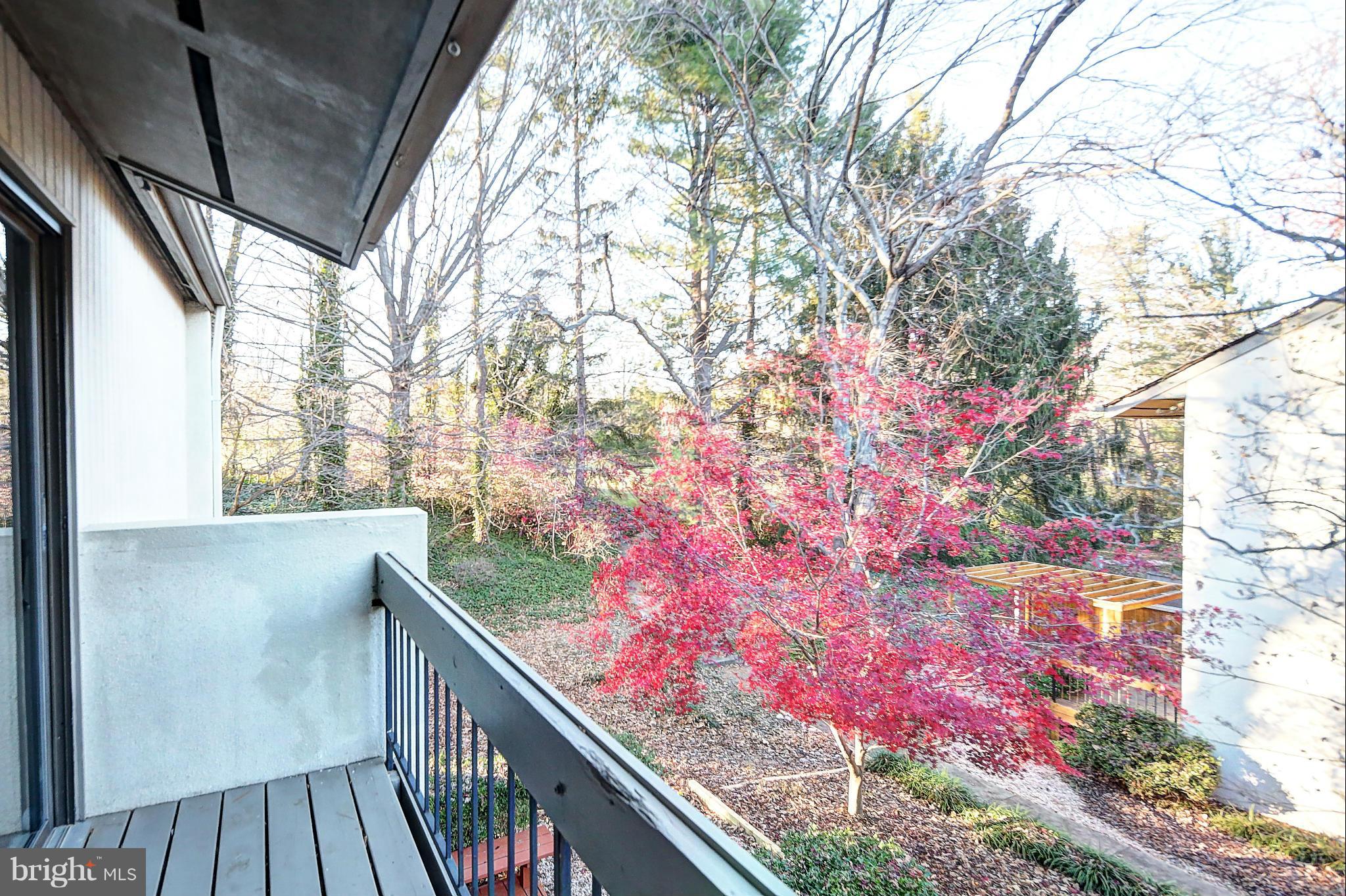 11719 Newbridge Court Reston, VA 20191 - Photo 26 of 30 Master Bedroom Balcony