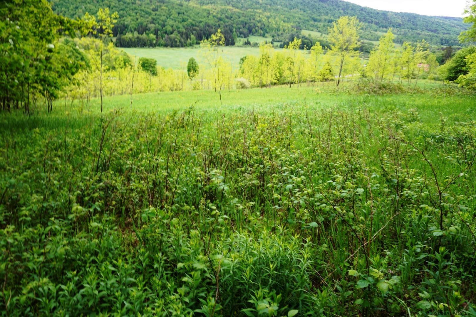 Charlotte Valley Rd Summit East Worcester, NY 12064 - Photo 1 of 23 Photo 1