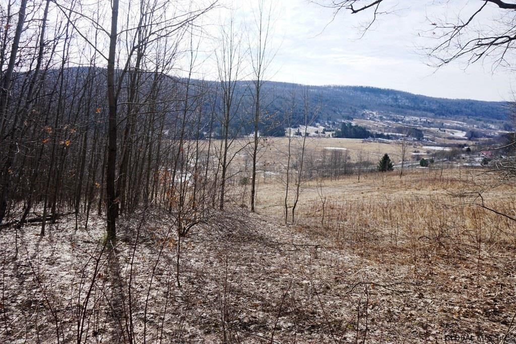 Charlotte Valley Rd Summit East Worcester, NY 12064 - Photo 11 of 23 Photo 11