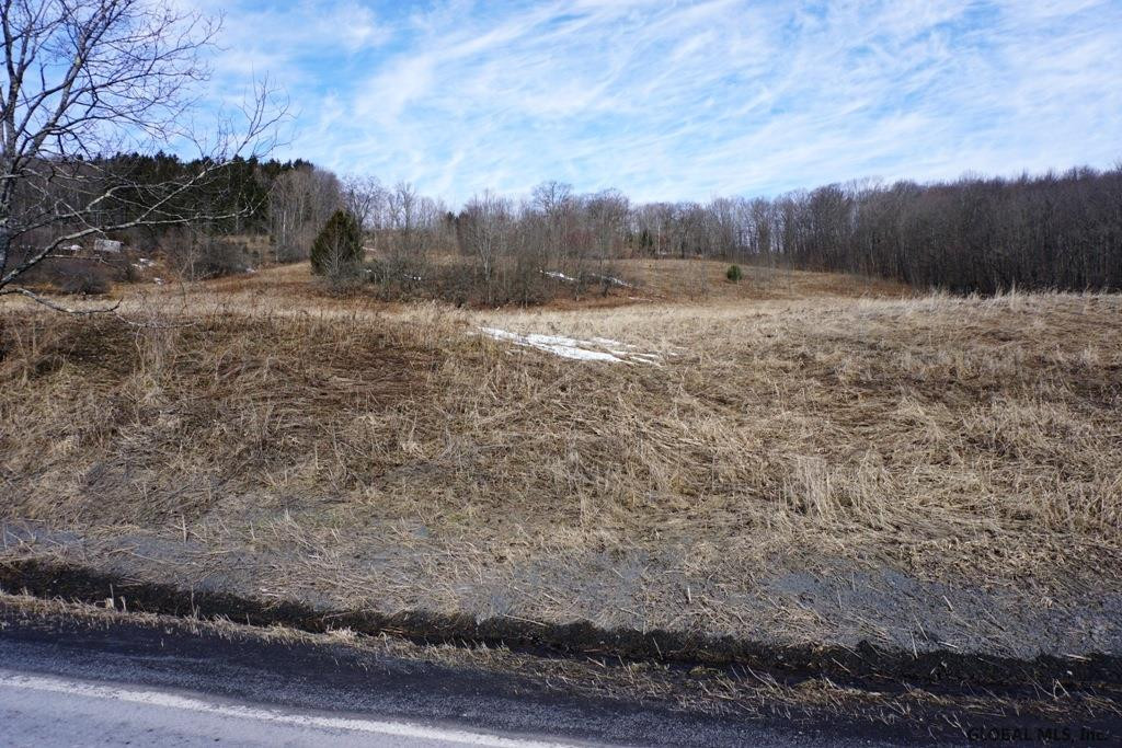 Charlotte Valley Rd Summit East Worcester, NY 12064 - Photo 12 of 23 Photo 12