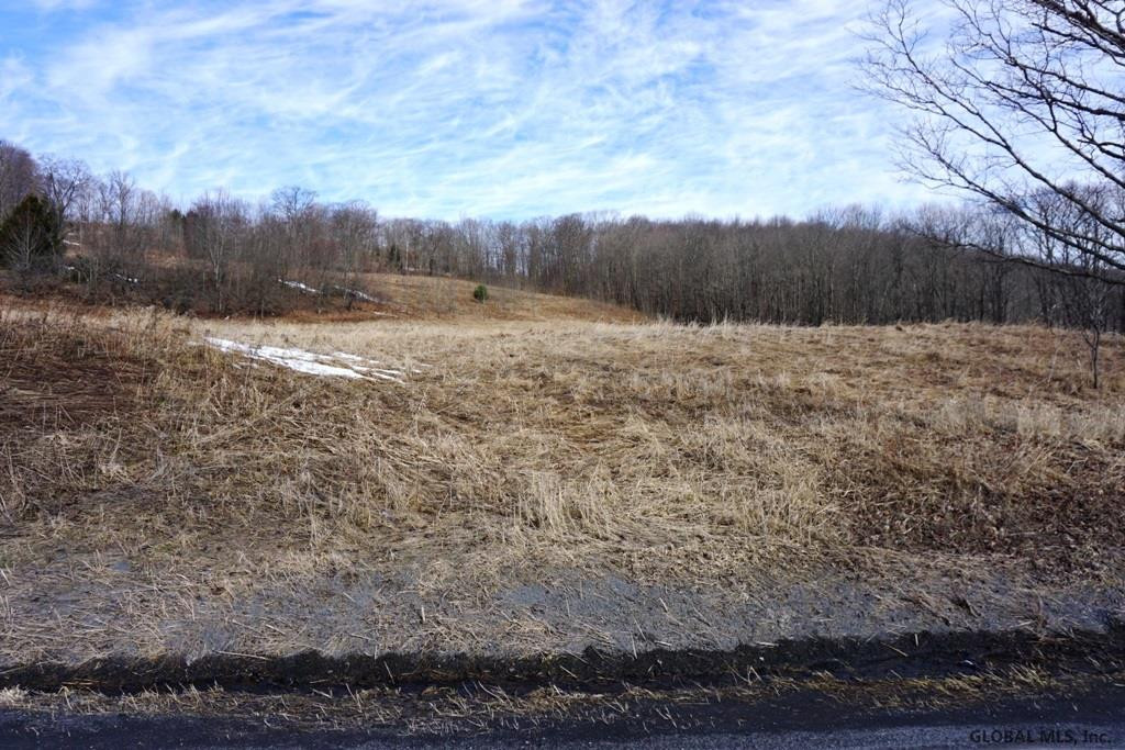 Charlotte Valley Rd Summit East Worcester, NY 12064 - Photo 14 of 23 Photo 14