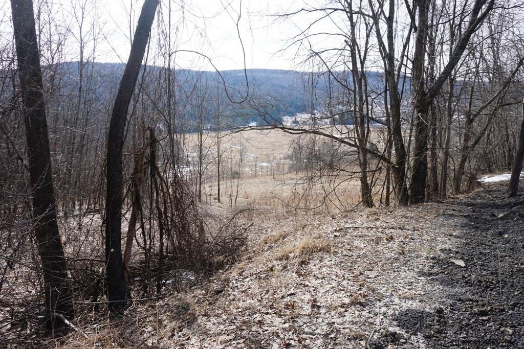 Charlotte Valley Rd Summit East Worcester, NY 12064 - Photo 15 of 23 Photo 15