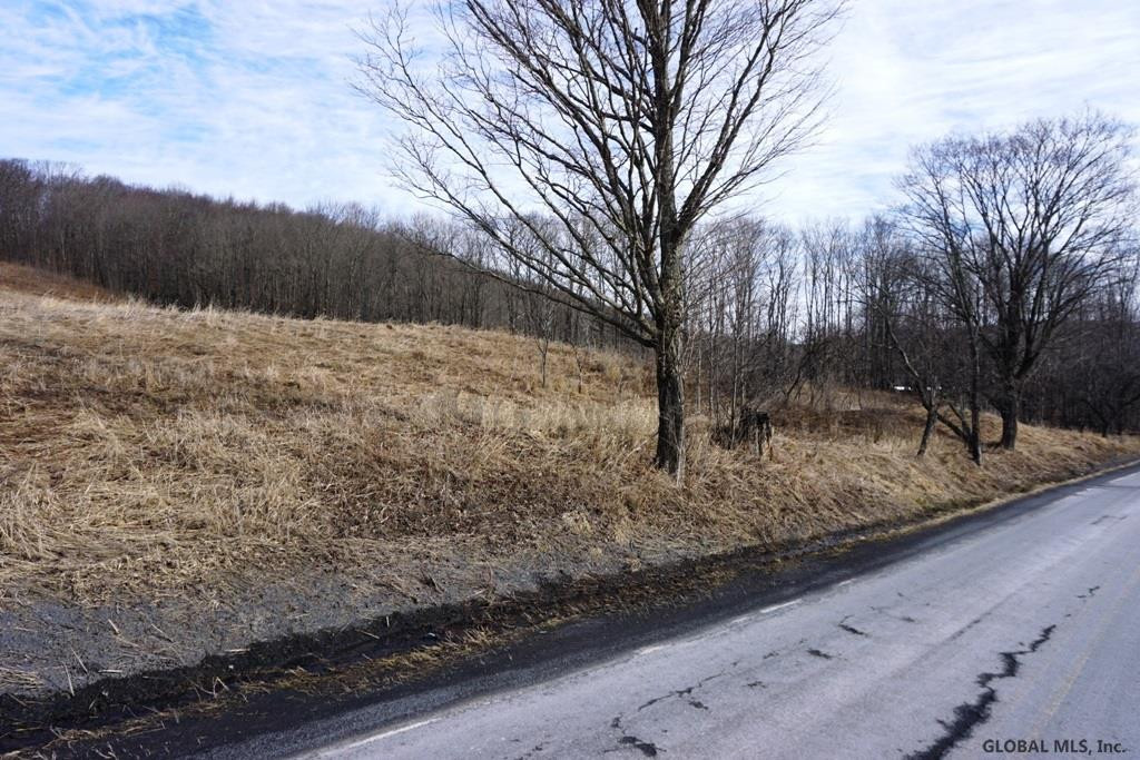Charlotte Valley Rd Summit East Worcester, NY 12064 - Photo 16 of 23 Photo 16