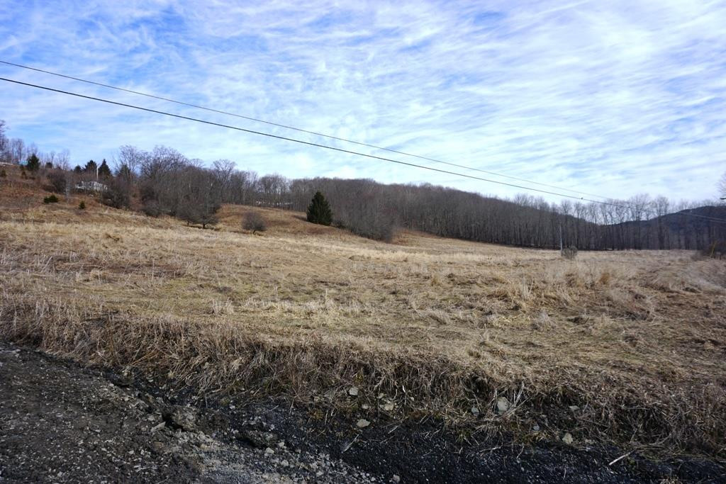Charlotte Valley Rd Summit East Worcester, NY 12064 - Photo 17 of 23 Photo 17