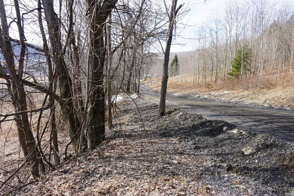 Charlotte Valley Rd Summit East Worcester, NY 12064 - Photo 18 of 23 Photo 18