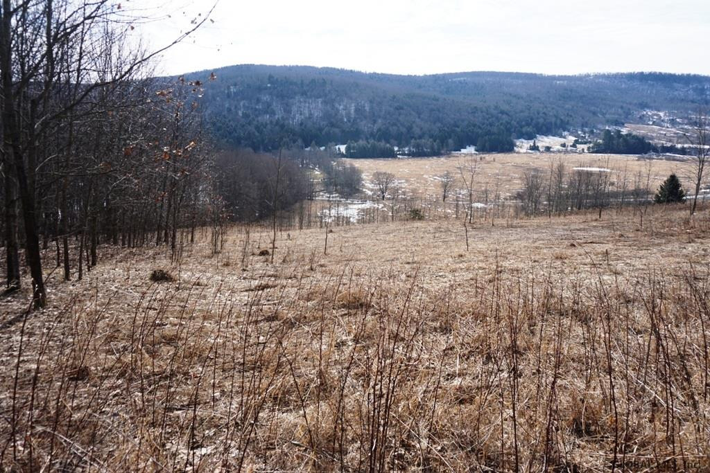 Charlotte Valley Rd Summit East Worcester, NY 12064 - Photo 19 of 23 Photo 19