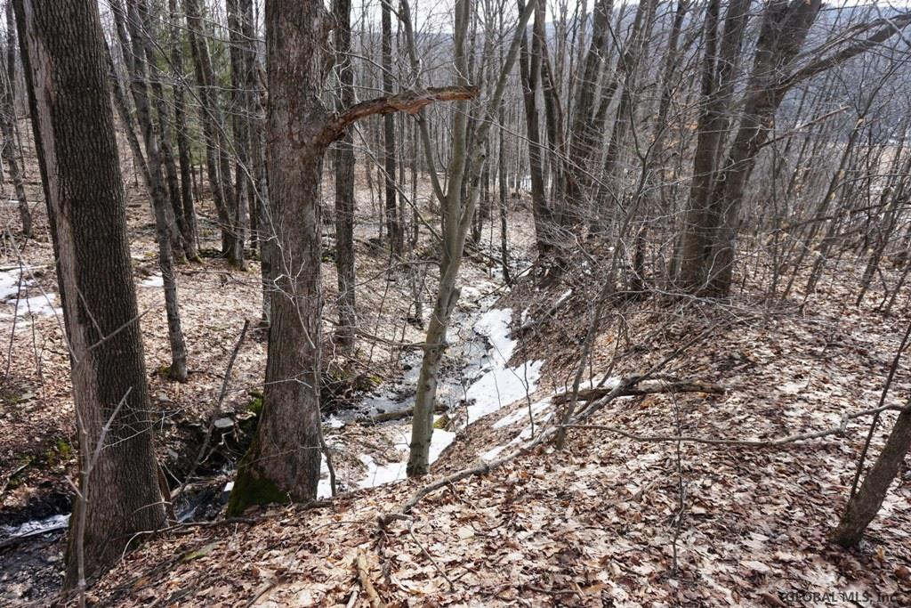 Charlotte Valley Rd Summit East Worcester, NY 12064 - Photo 20 of 23 Photo 20