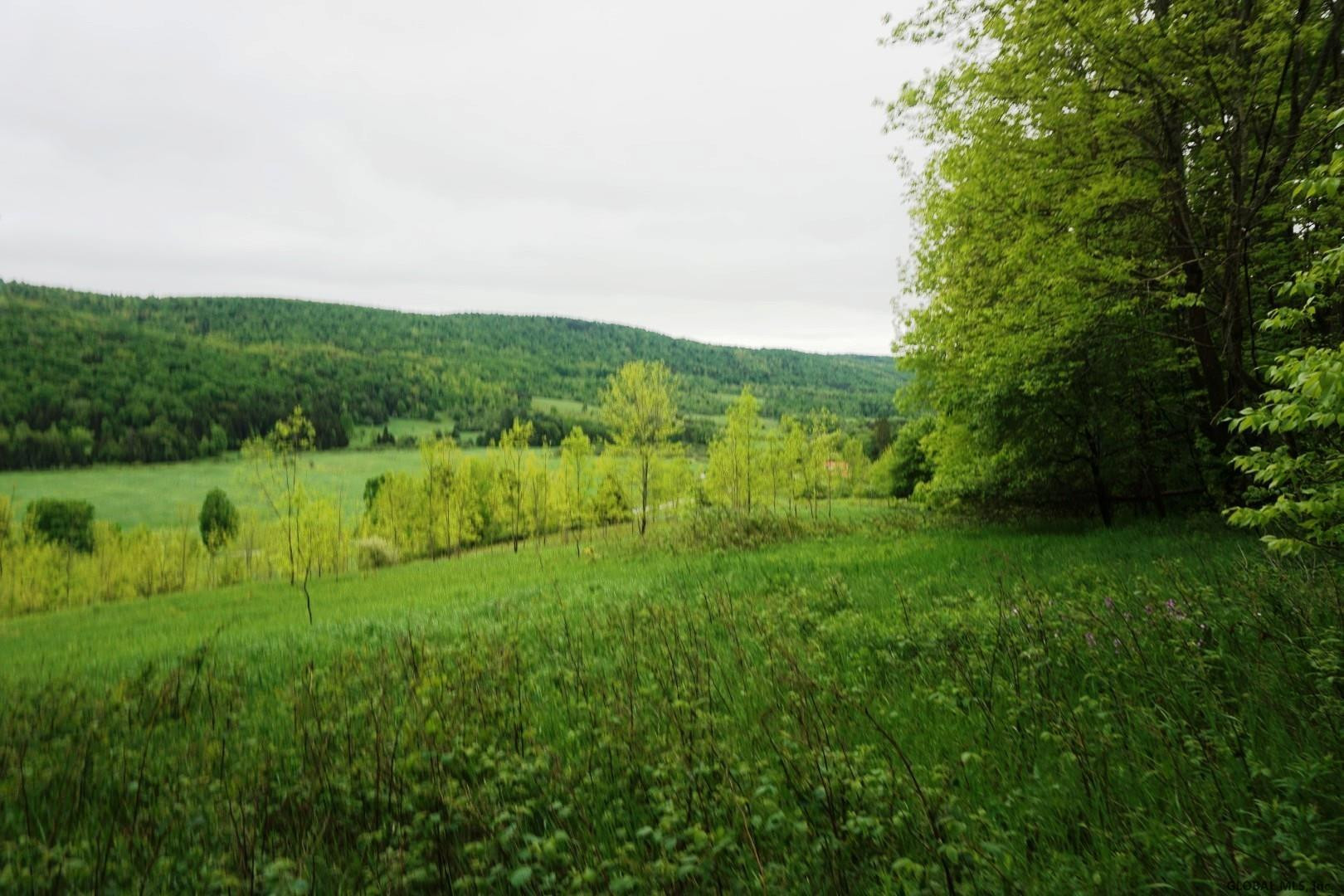 Charlotte Valley Rd Summit East Worcester, NY 12064 - Photo 2 of 23 Photo 2