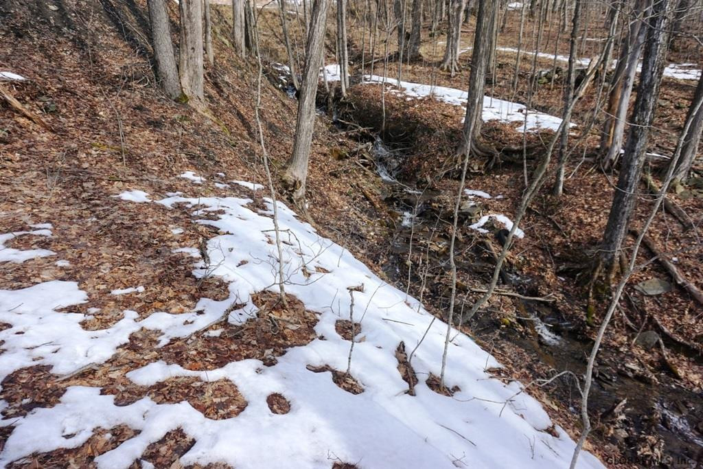 Charlotte Valley Rd Summit East Worcester, NY 12064 - Photo 21 of 23 Photo 21