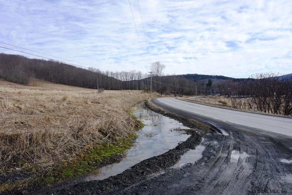 Charlotte Valley Rd Summit East Worcester, NY 12064 - Photo 22 of 23 Photo 22