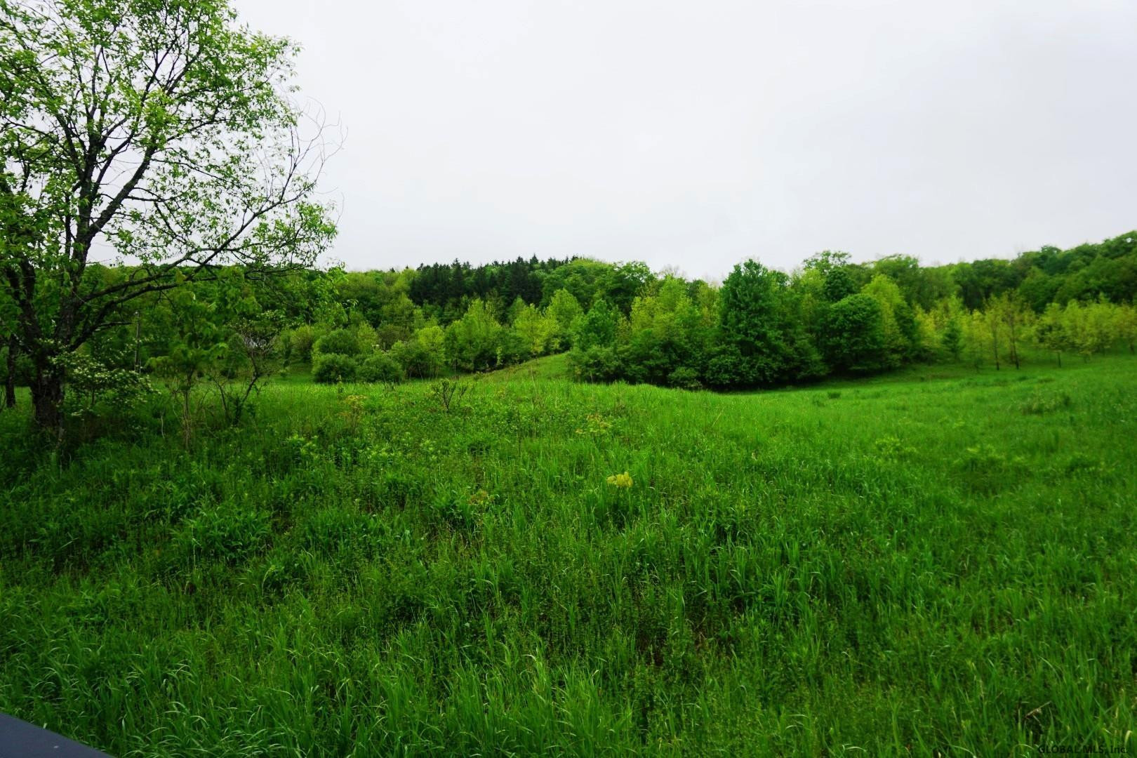 Charlotte Valley Rd Summit East Worcester, NY 12064 - Photo 3 of 23 Photo 3
