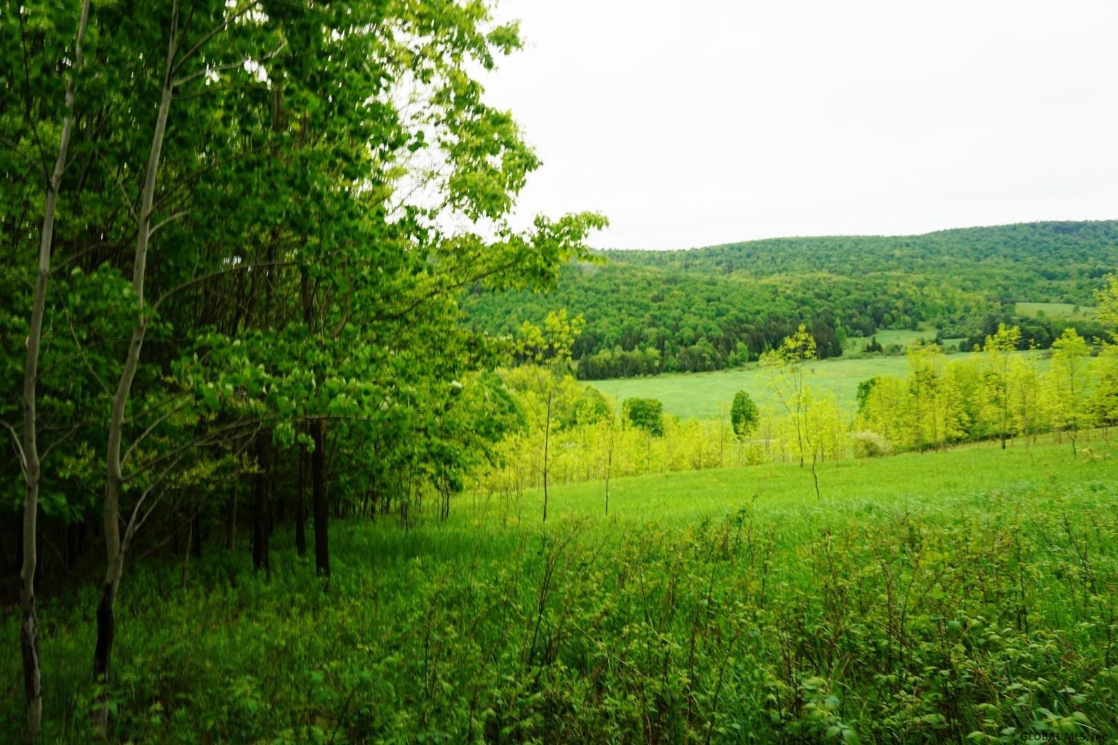 Charlotte Valley Rd Summit East Worcester, NY 12064 - Photo 4 of 23 Photo 4