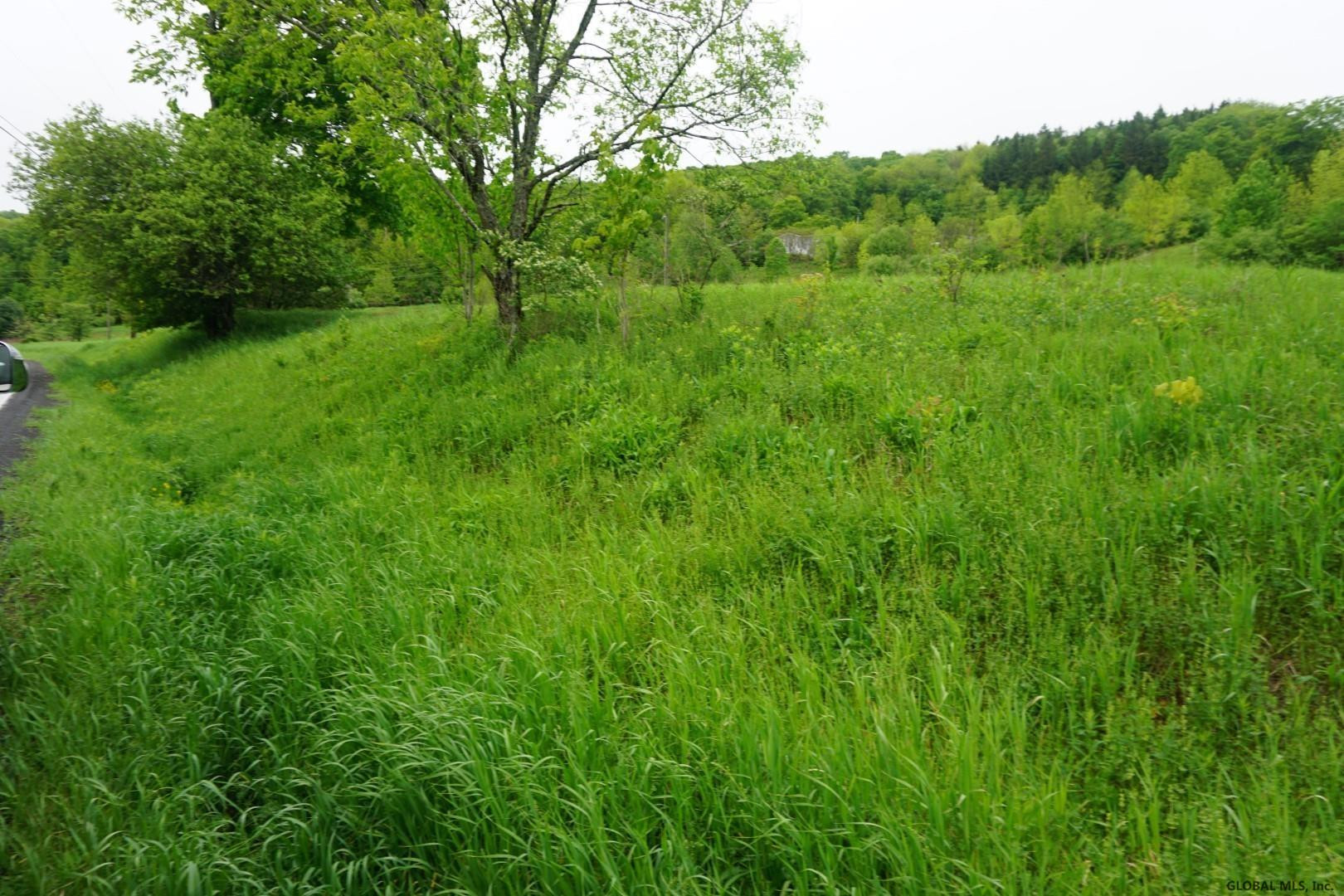 Charlotte Valley Rd Summit East Worcester, NY 12064 - Photo 7 of 23 Photo 7
