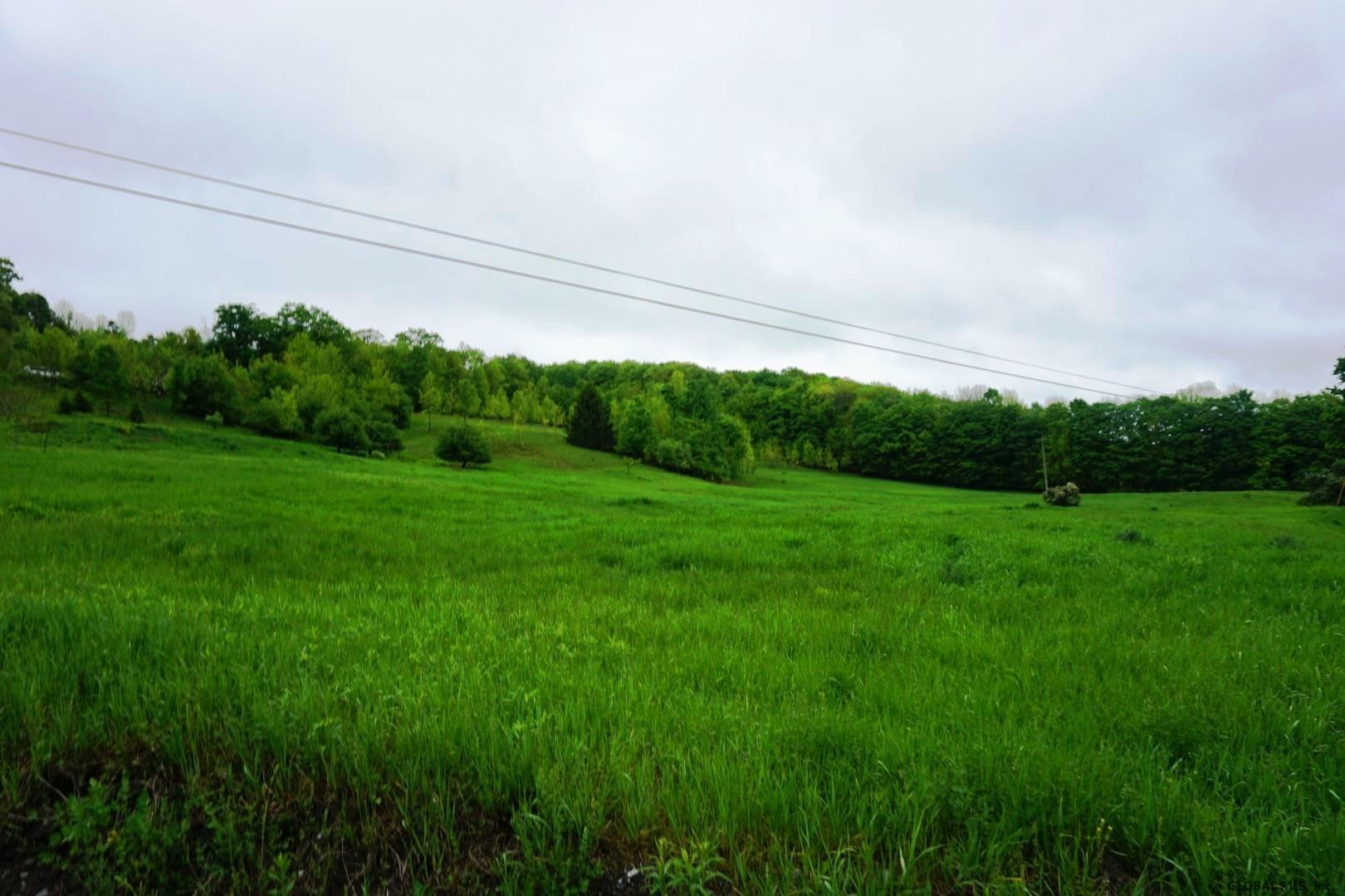 Charlotte Valley Rd Summit East Worcester, NY 12064 - Photo 8 of 23 Photo 8