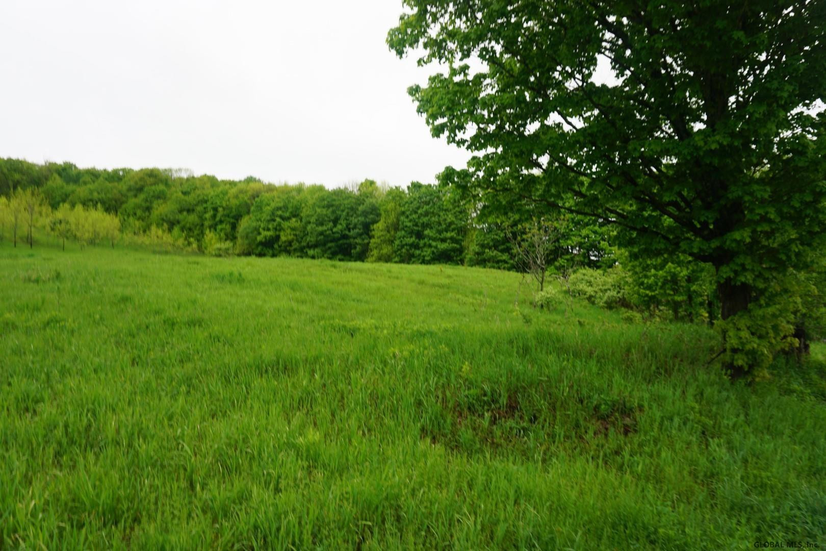 Charlotte Valley Rd Summit East Worcester, NY 12064 - Photo 9 of 23 Photo 9