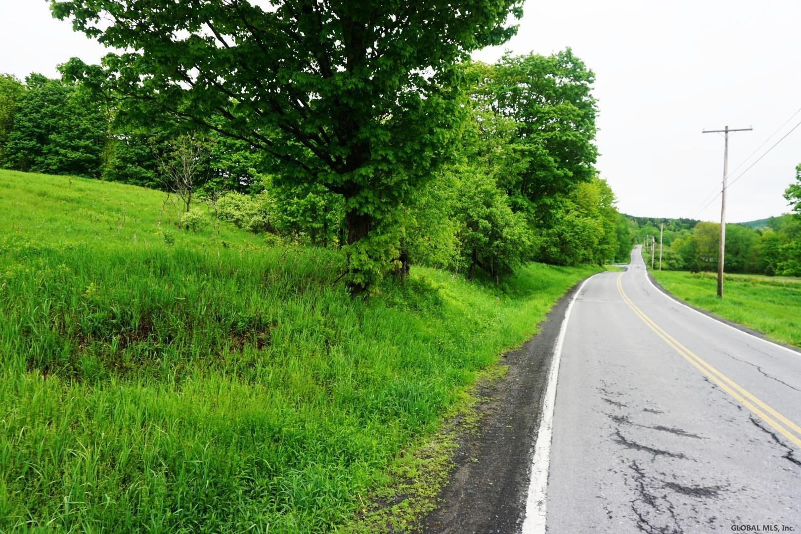 Charlotte Valley Rd Summit East Worcester, NY 12064 - Photo 10 of 23 Photo 10