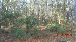 Lot 2 Spring Lake Road Thomasville, GA 31792 - Photo 1 of 1 Main View