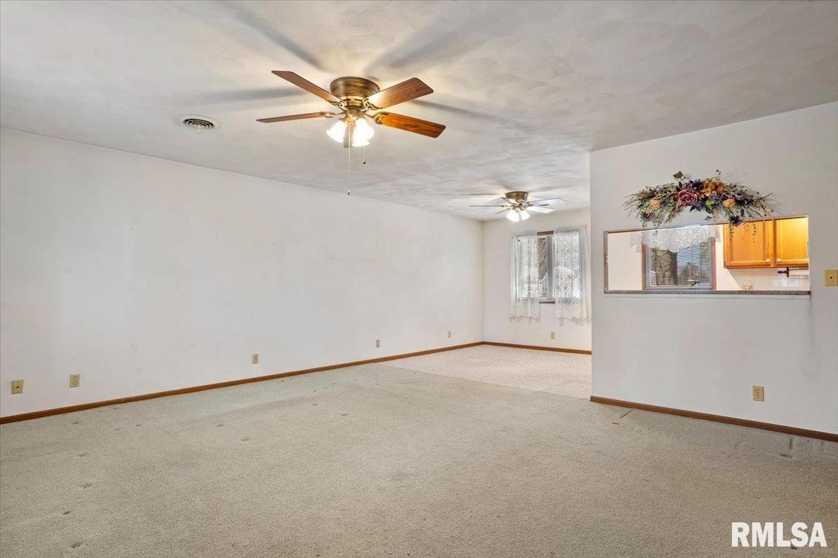 415 South Henrietta Street Divernon, IL 62530 - Photo 7 of 32