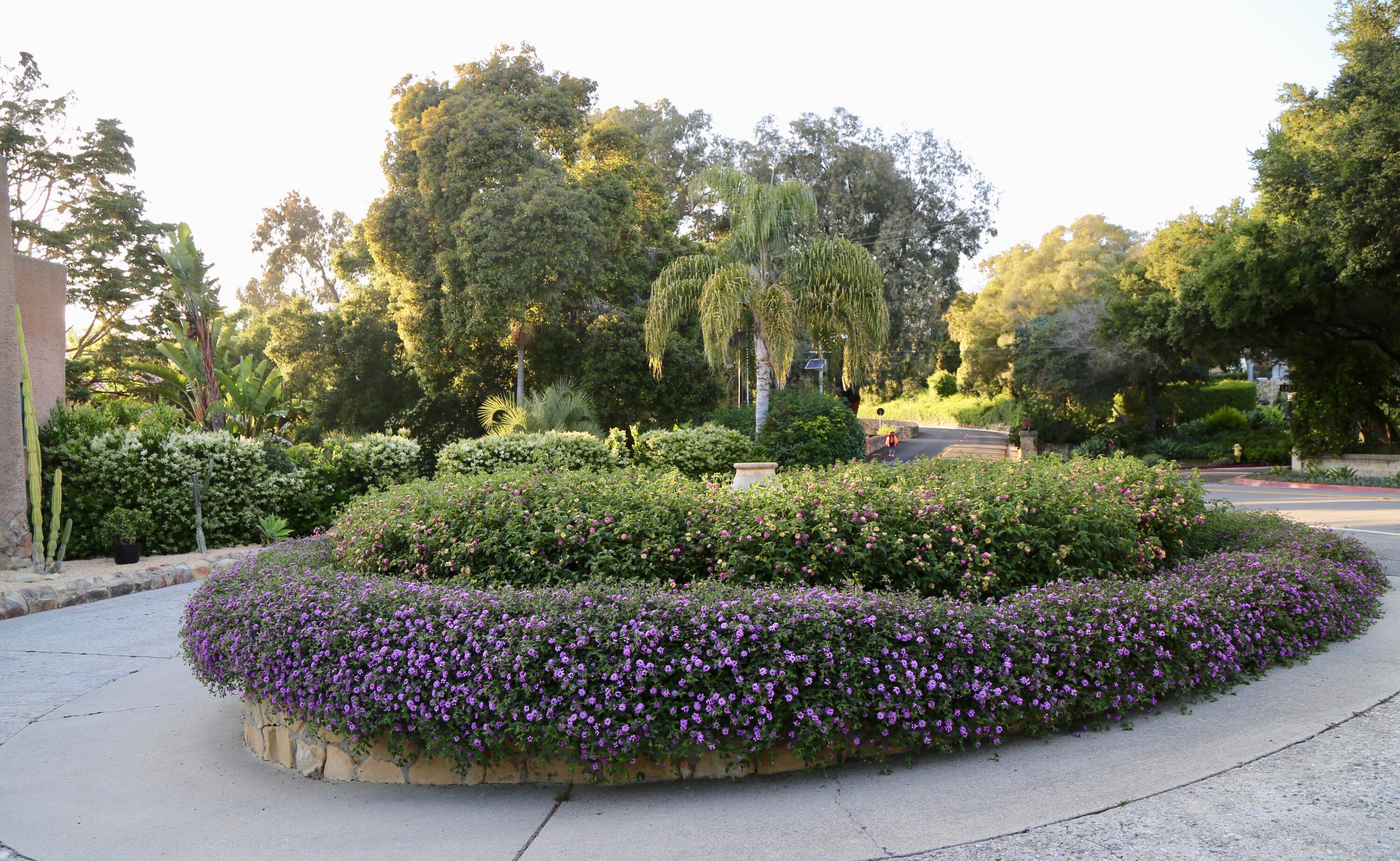 2065 Mission Ridge Road Santa Barbara, CA 93103 - Photo 3 of 49 a street with lots of green space