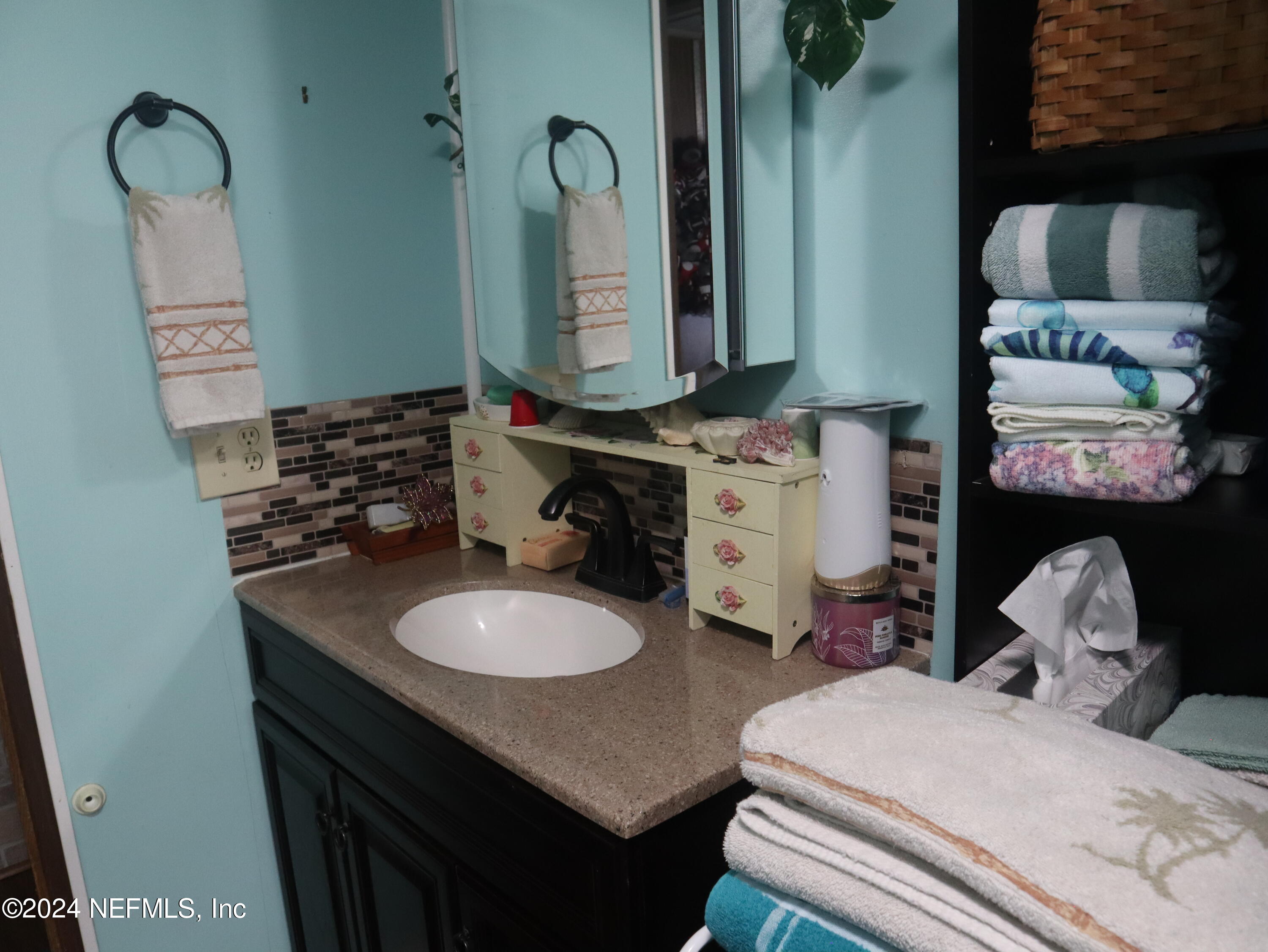 107 Fisherman Road Satsuma, FL 32189 - Photo 36 of 37 Guest Bathroom Vanity