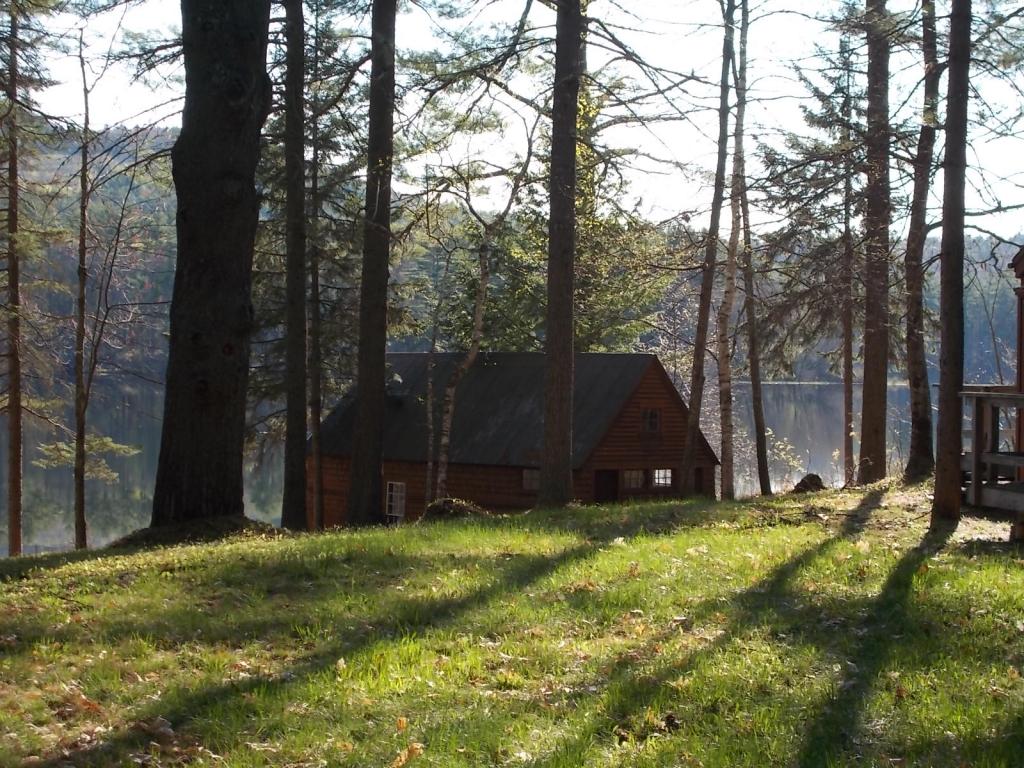 67 Loon Lake Road Freedom, NH 03836 - Photo 4 of 6