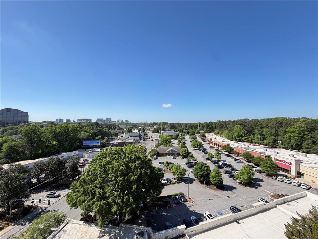 3820 Roswell Road Northeast, Unit 902 Atlanta, GA 30342 - Photo 19 of 20 a view of a city