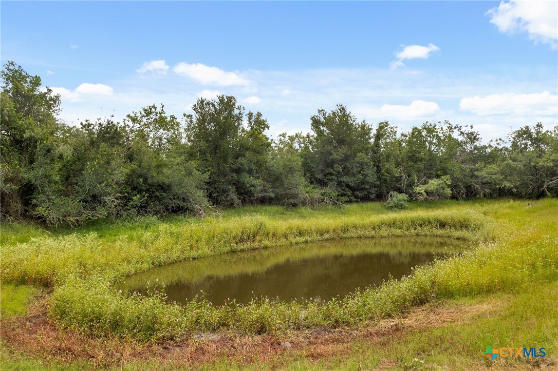 757 Jackson Road Kingsbury, TX 78638 - Photo 27 of 46