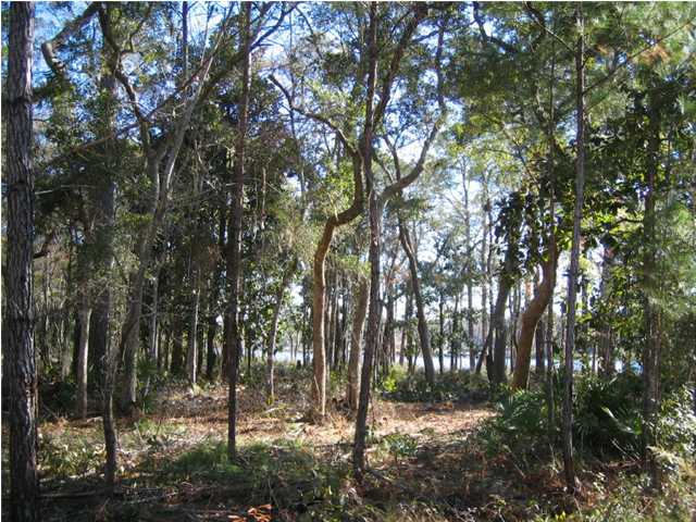 Lot 5 George Ellis Point Road Vernon, FL 32462 - Photo 1 of 5 Primary Photo