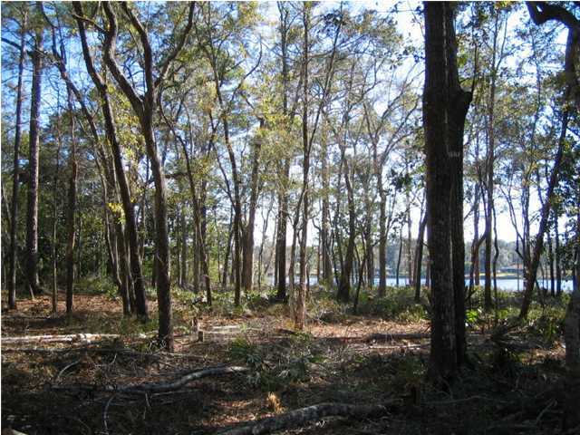 Lot 5 George Ellis Point Road Vernon, FL 32462 - Photo 2 of 5 Additional Photo