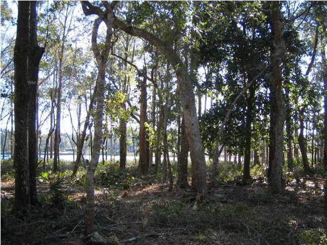 Lot 5 George Ellis Point Road Vernon, FL 32462 - Photo 3 of 5 Additional Photo