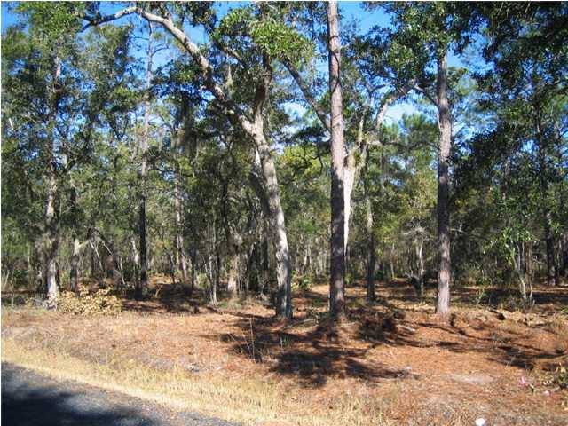 Lot 5 George Ellis Point Road Vernon, FL 32462 - Photo 4 of 5 Additional Photo