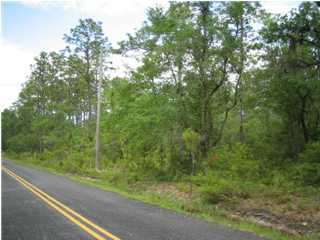 Lot 5 George Ellis Point Road Vernon, FL 32462 - Photo 5 of 5 Additional Photo