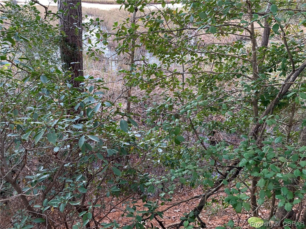 Lot 4 Paddock Drive Lancaster, VA 22503 - Photo 12 of 13
