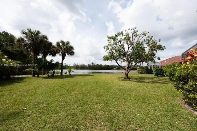 a view of a trees and yard in front of a house