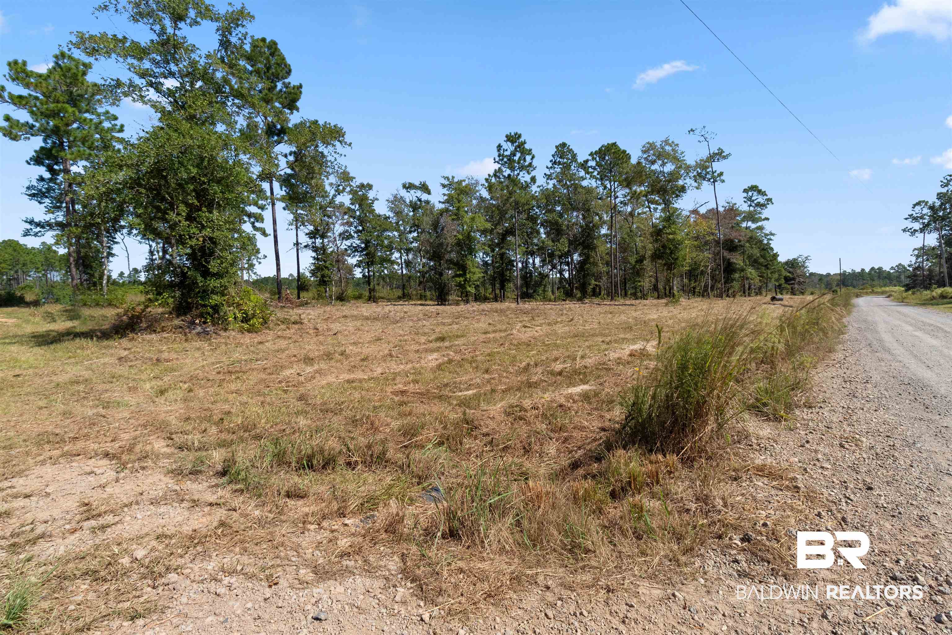 5 Foxtrap Road Axis, AL 36505 - Photo 5 of 7