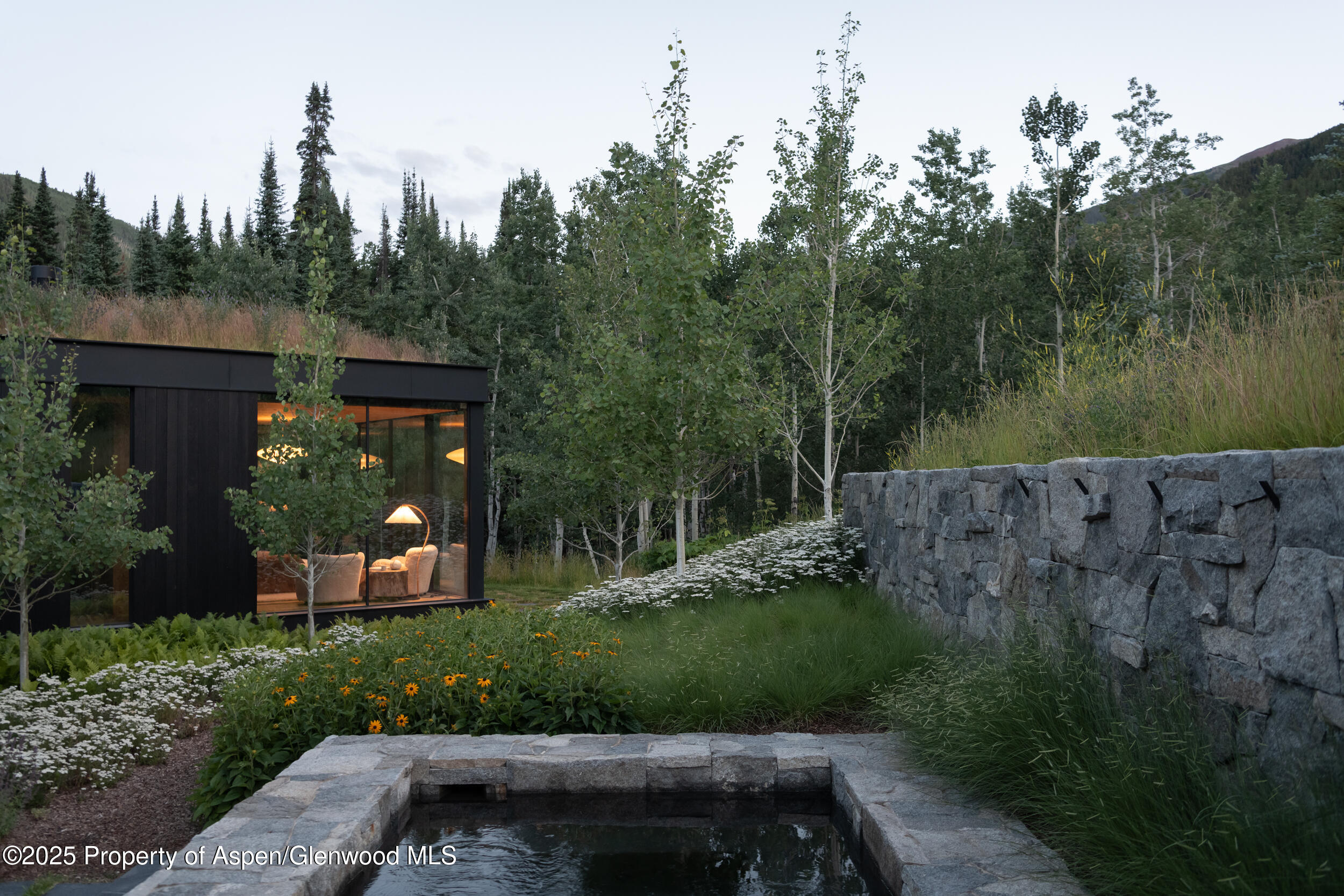 724 North Hayden Road Aspen, CO 81611 - Photo 31 of 49 Twilight spa