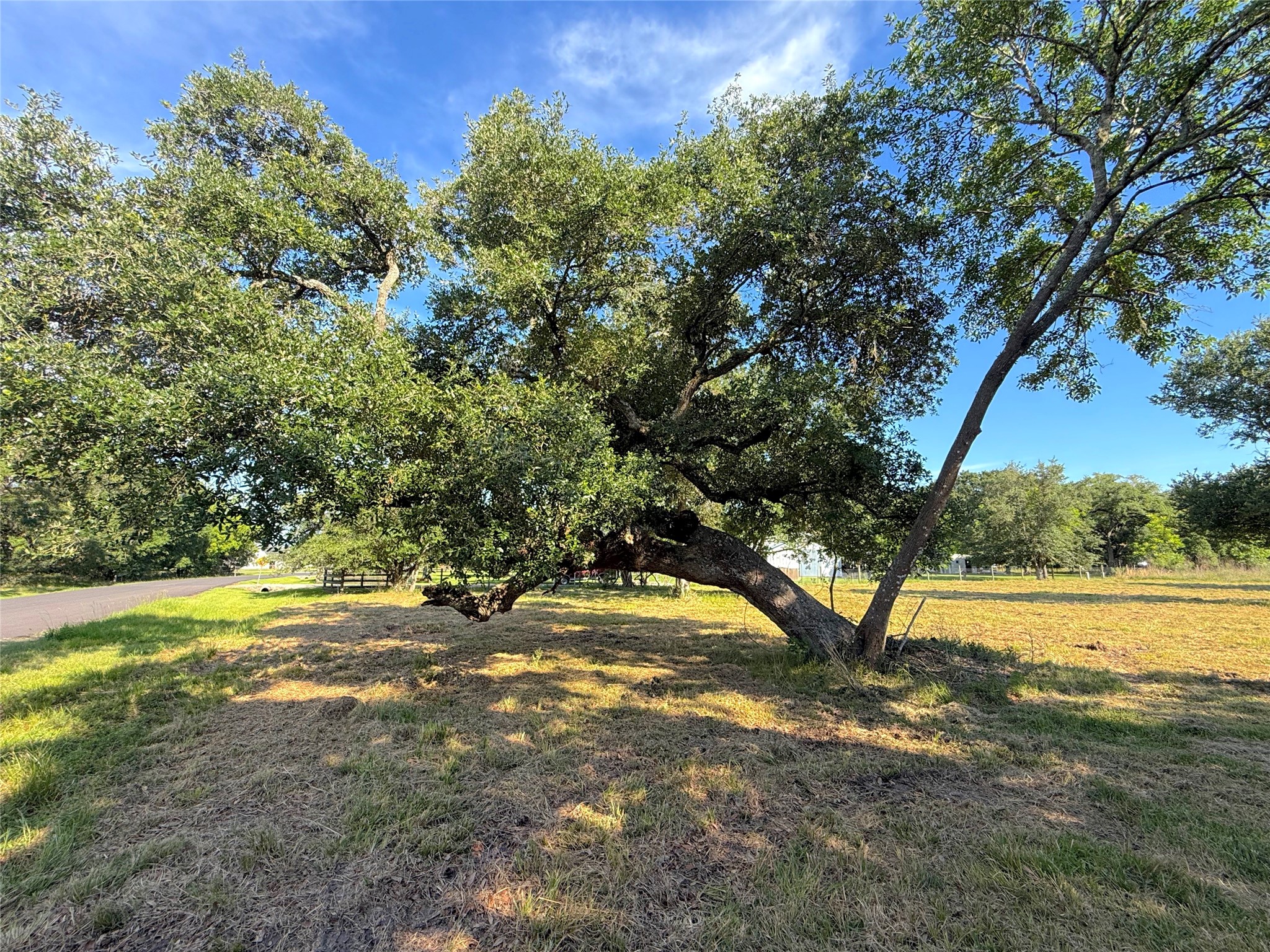 0 Brock Road West Columbia, TX 77486 - Photo 5 of 6