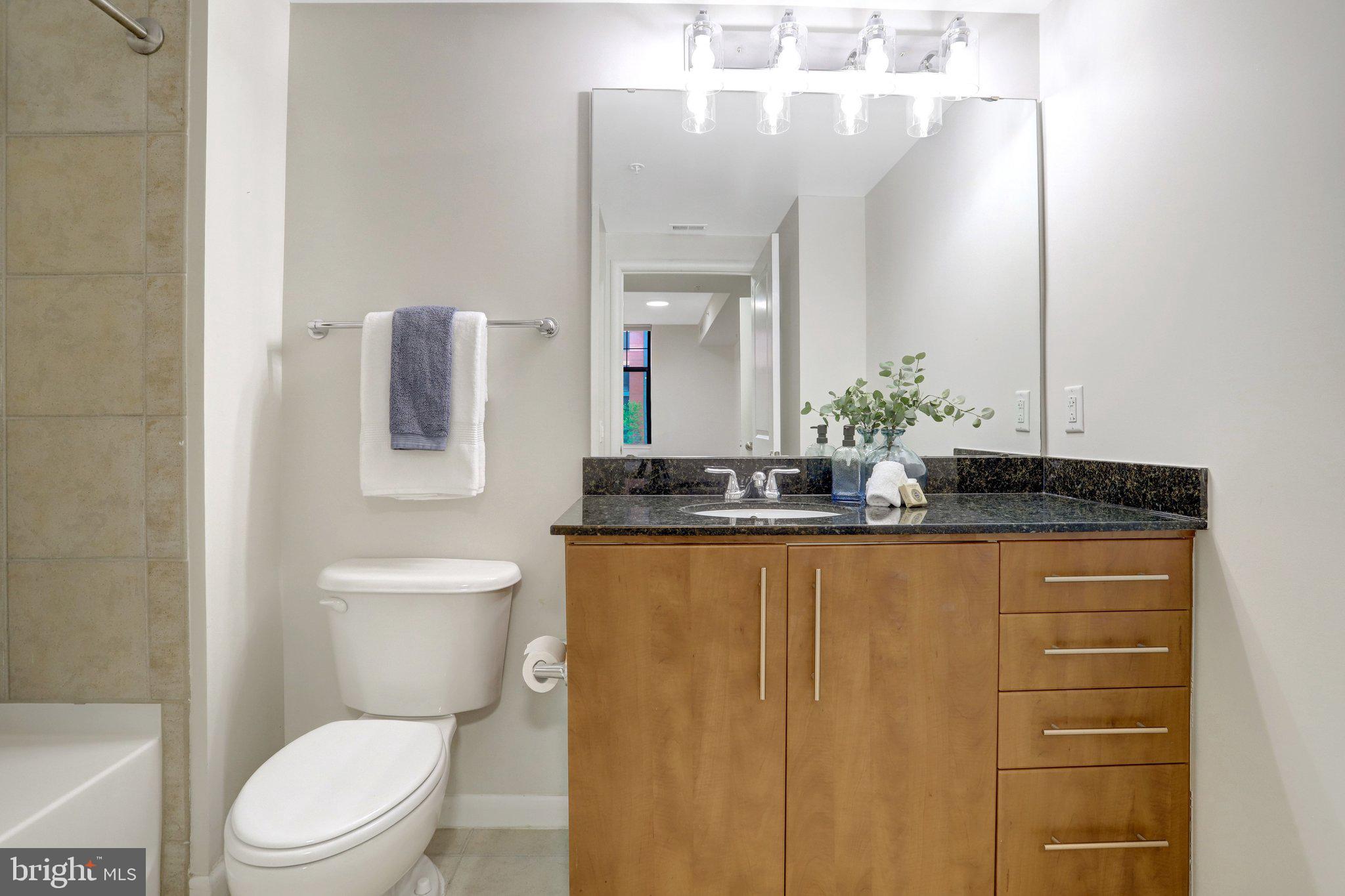 1021 North Garfield Street, Unit 315 Arlington, VA 22201 - Photo 15 of 43 Primary en-suite bathroom w/new lights