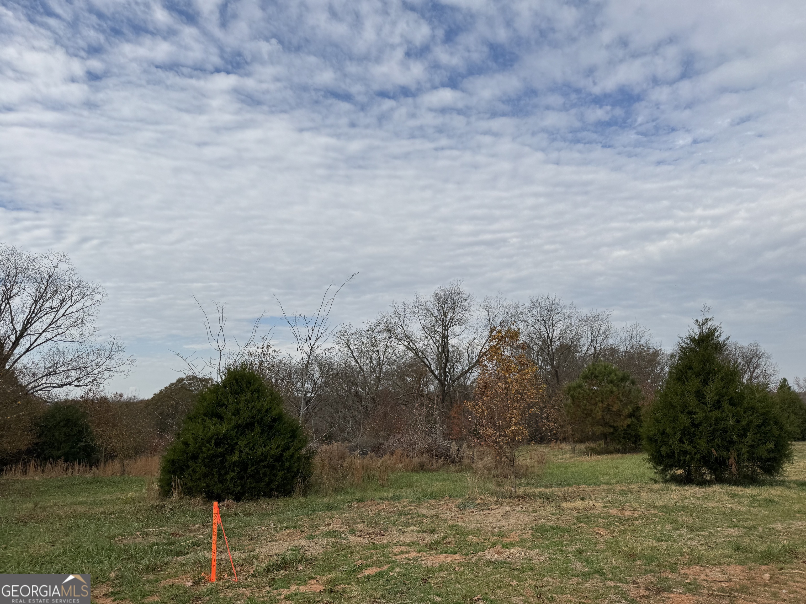 3439-tract 6 Providence Church Road Hartwell, GA 30643 - Photo 1 of 5