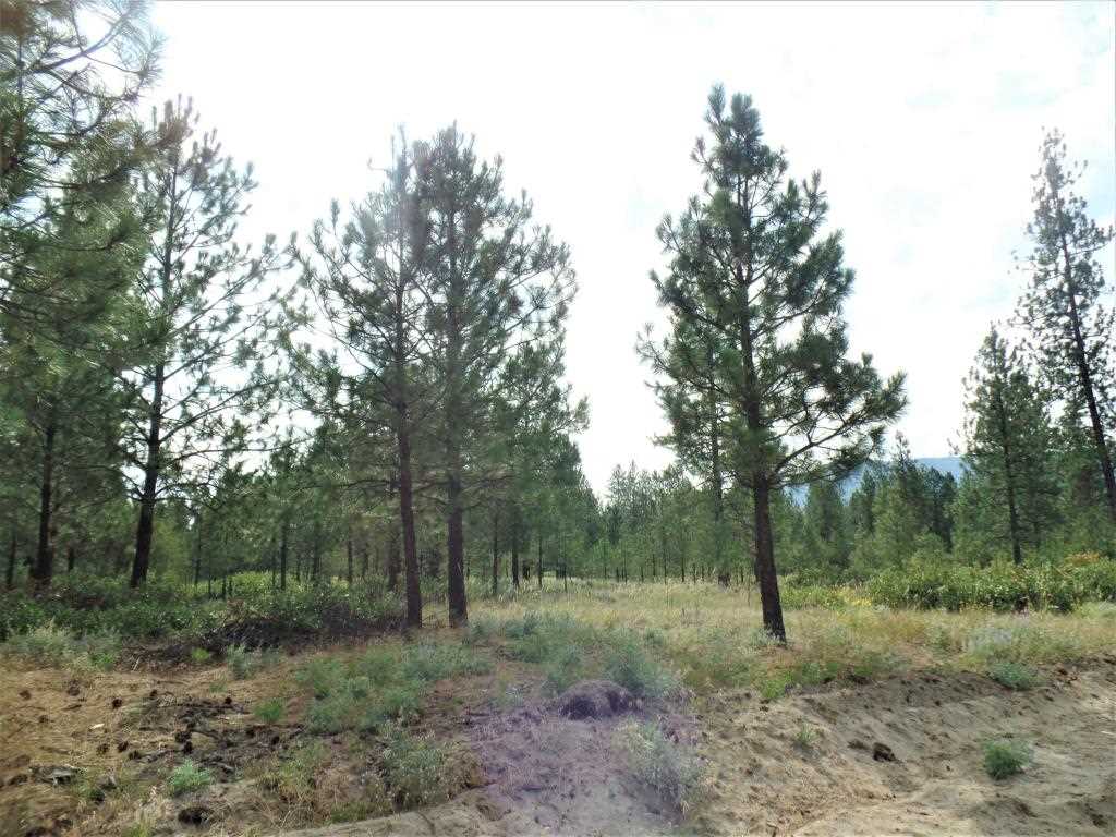Lot 109 Old Kettle Road Kettle Falls, WA 99141 - Photo 1 of 13 Gallery Image 1