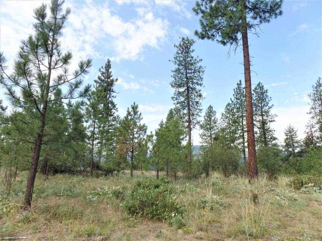 Lot 109 Old Kettle Road Kettle Falls, WA 99141 - Photo 2 of 13 Gallery Image 2