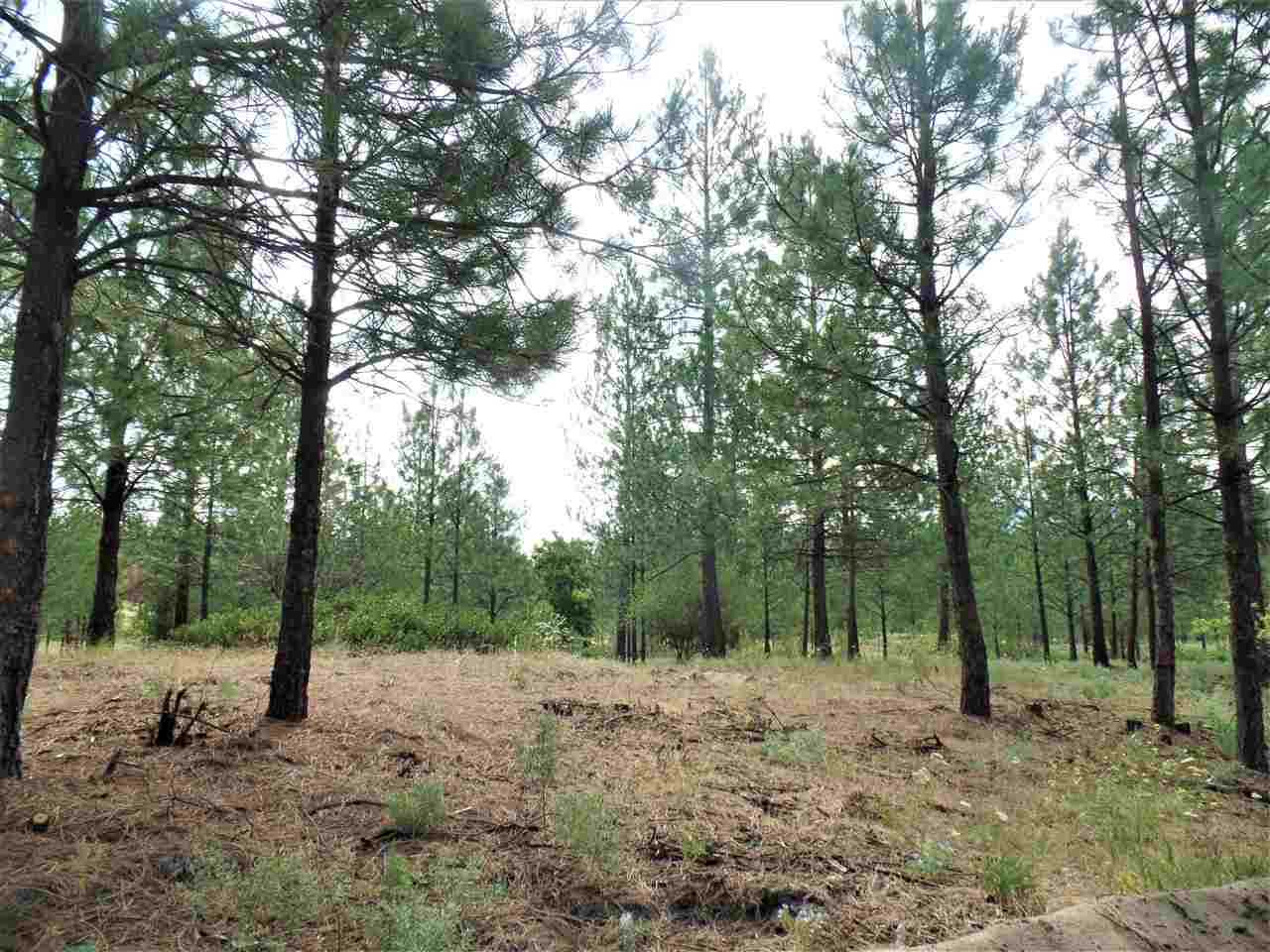 Lot 109 Old Kettle Road Kettle Falls, WA 99141 - Photo 11 of 13 Gallery Image 11