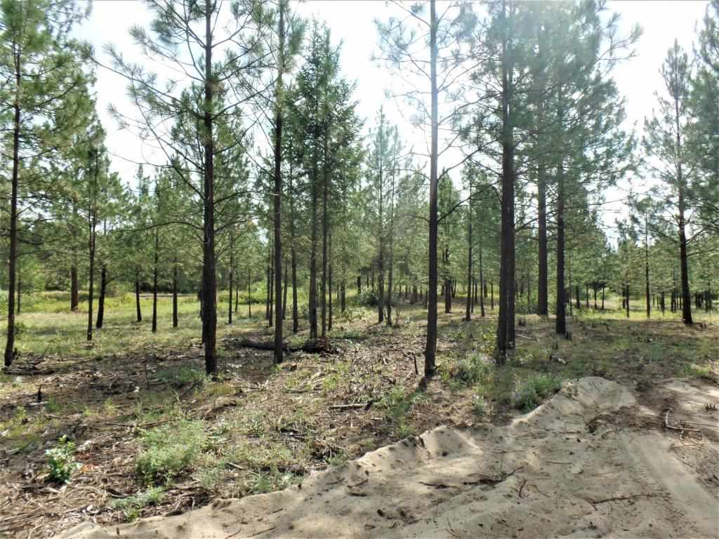 Lot 109 Old Kettle Road Kettle Falls, WA 99141 - Photo 4 of 13 Gallery Image 4