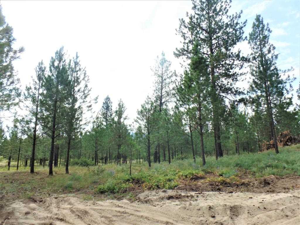 Lot 109 Old Kettle Road Kettle Falls, WA 99141 - Photo 5 of 13 Gallery Image 5