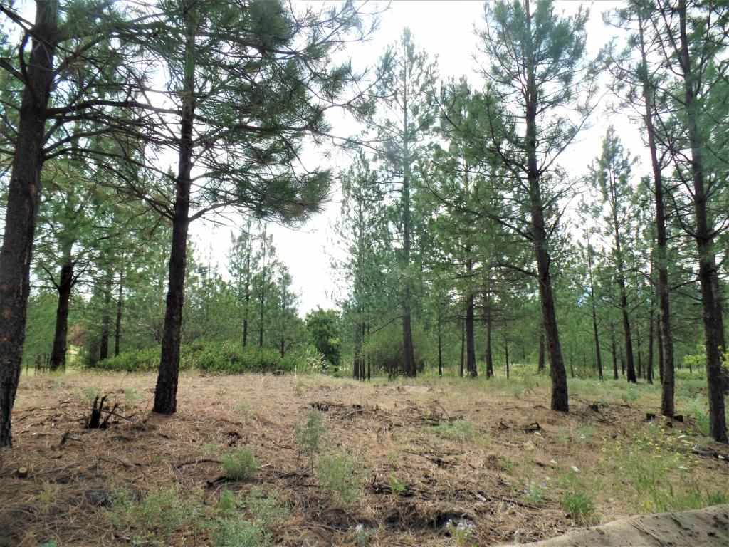 Lot 109 Old Kettle Road Kettle Falls, WA 99141 - Photo 6 of 13 Gallery Image 6