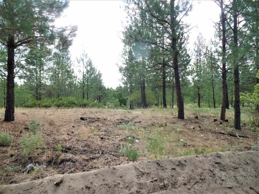 Lot 109 Old Kettle Road Kettle Falls, WA 99141 - Photo 7 of 13 Gallery Image 7