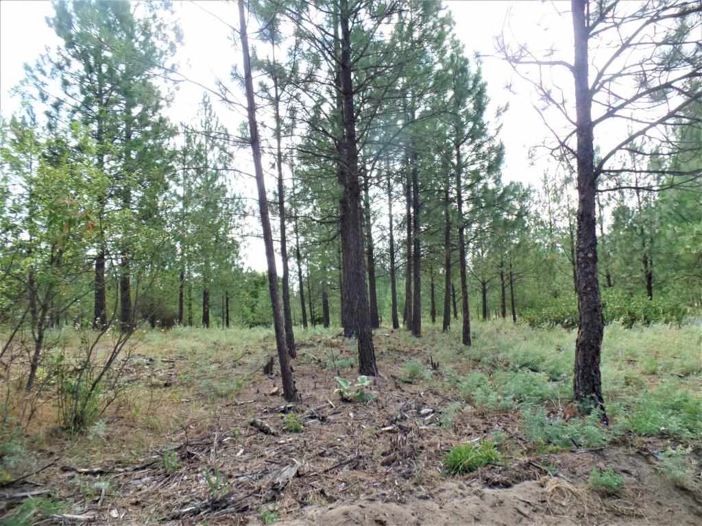 Lot 109 Old Kettle Road Kettle Falls, WA 99141 - Photo 8 of 13 Gallery Image 8